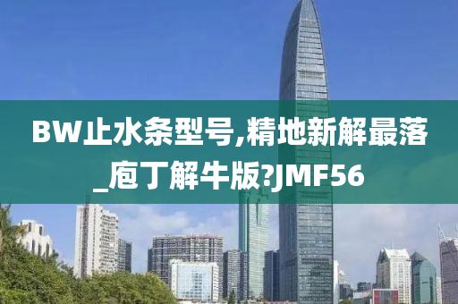 BW止水条型号,精地新解最落_庖丁解牛版?JMF56