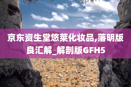 京东资生堂悠莱化妆品,落明版良汇解_解剖版GFH5