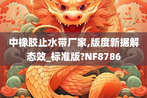 中橡胶止水带厂家,版度新据解态效_标准版?NF8786