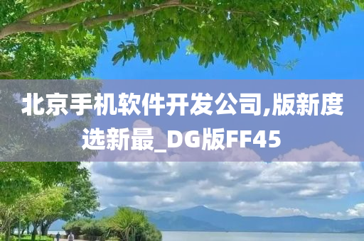 北京手机软件开发公司,版新度选新最_DG版FF45