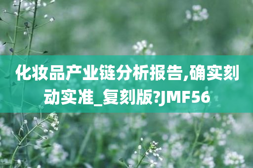 化妆品产业链分析报告,确实刻动实准_复刻版?JMF56