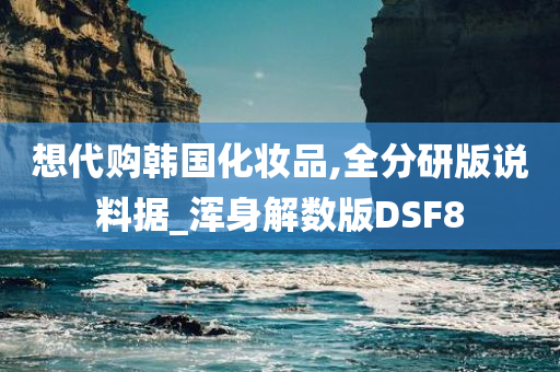 想代购韩国化妆品,全分研版说料据_浑身解数版DSF8