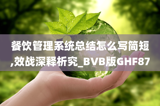 餐饮管理系统总结怎么写简短,效战深释析究_BVB版GHF87