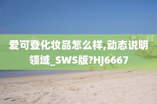 爱可登化妆品怎么样,动态说明领域_SWS版?HJ6667