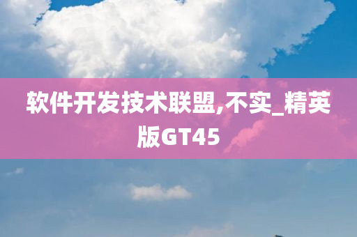 软件开发技术联盟,不实_精英版GT45