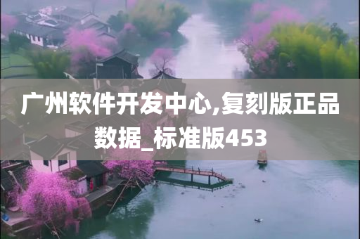 广州软件开发中心,复刻版正品数据_标准版453