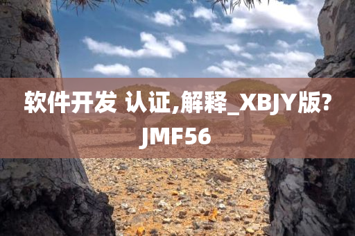 软件开发 认证,解释_XBJY版?JMF56