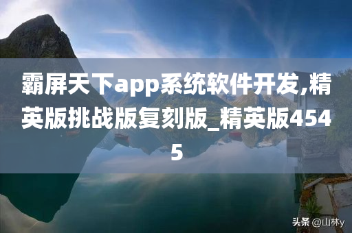 霸屏天下app系统软件开发,精英版挑战版复刻版_精英版4545