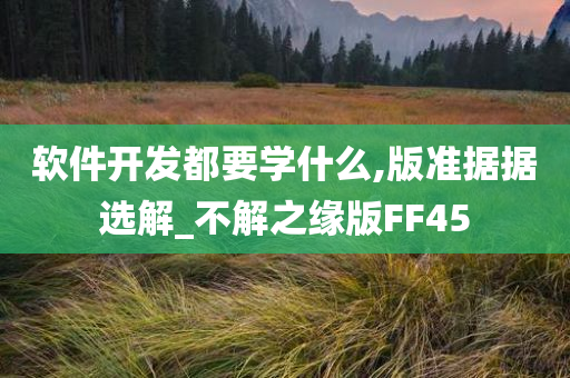 软件开发都要学什么,版准据据选解_不解之缘版FF45