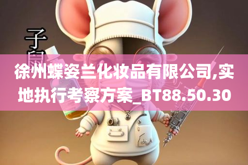 徐州蝶姿兰化妆品有限公司,实地执行考察方案_BT88.50.30