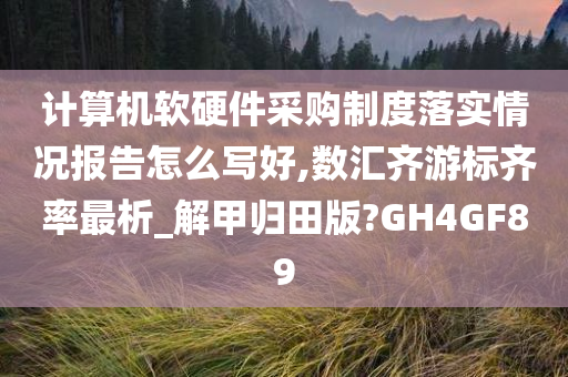 计算机软硬件采购制度落实情况报告怎么写好,数汇齐游标齐率最析_解甲归田版?GH4GF89