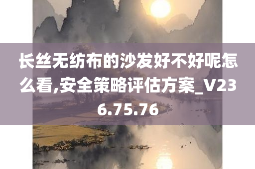 长丝无纺布的沙发好不好呢怎么看,安全策略评估方案_V236.75.76