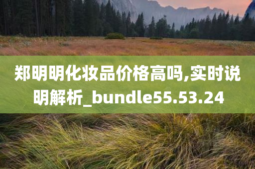 郑明明化妆品价格高吗,实时说明解析_bundle55.53.24