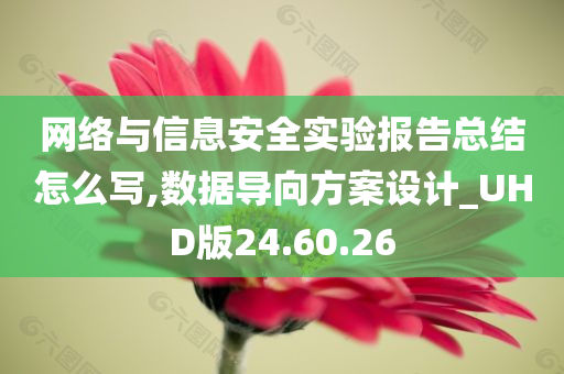 网络与信息安全实验报告总结怎么写,数据导向方案设计_UHD版24.60.26