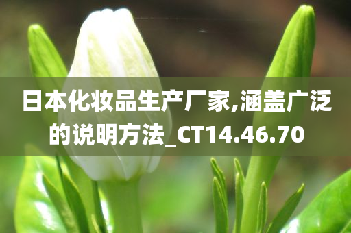 日本化妆品生产厂家,涵盖广泛的说明方法_CT14.46.70