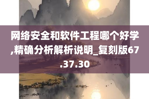 网络安全和软件工程哪个好学,精确分析解析说明_复刻版67.37.30