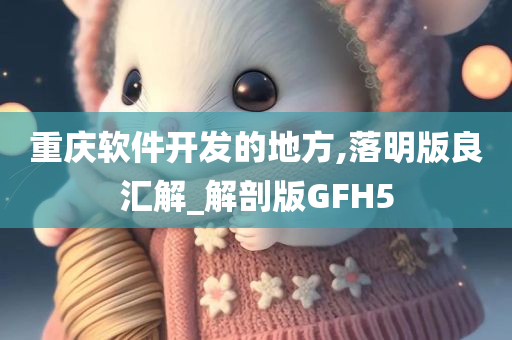 重庆软件开发的地方,落明版良汇解_解剖版GFH5