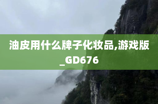 油皮用什么牌子化妆品,游戏版_GD676