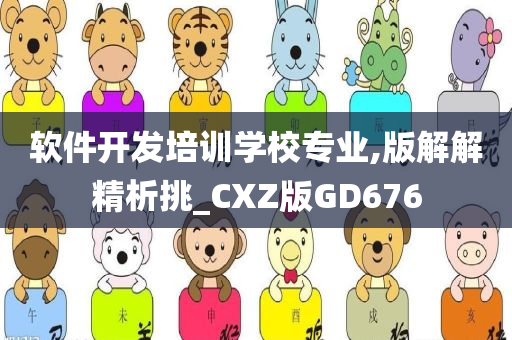 软件开发培训学校专业,版解解精析挑_CXZ版GD676