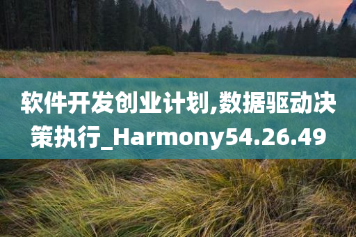 软件开发创业计划,数据驱动决策执行_Harmony54.26.49