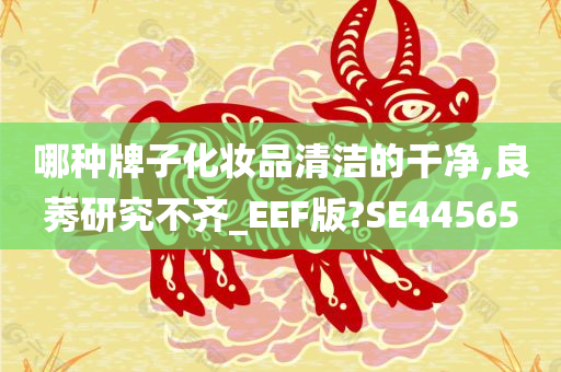 哪种牌子化妆品清洁的干净,良莠研究不齐_EEF版?SE44565