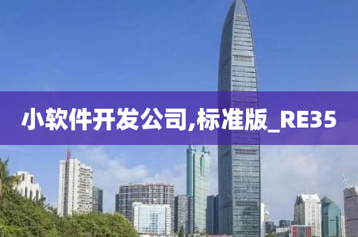 小软件开发公司,标准版_RE35