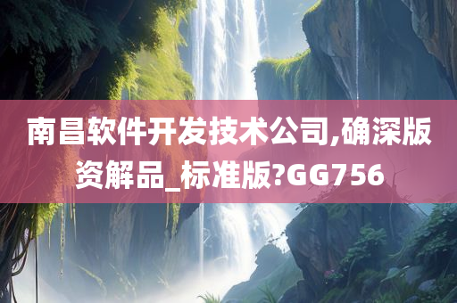 南昌软件开发技术公司,确深版资解品_标准版?GG756