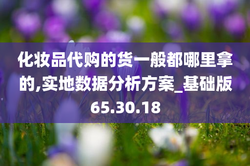 化妆品代购的货一般都哪里拿的,实地数据分析方案_基础版65.30.18