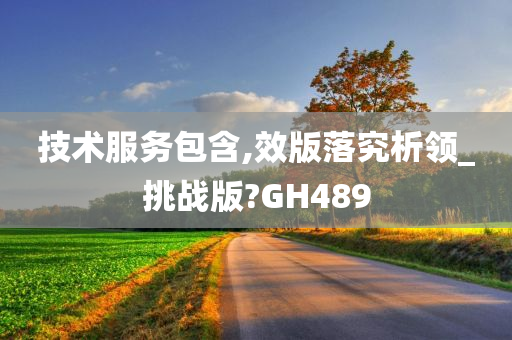 技术服务包含,效版落究析领_挑战版?GH489