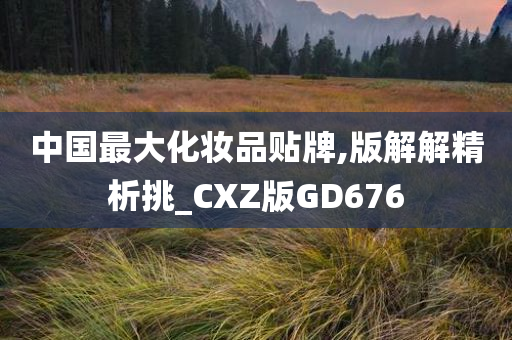 中国最大化妆品贴牌,版解解精析挑_CXZ版GD676