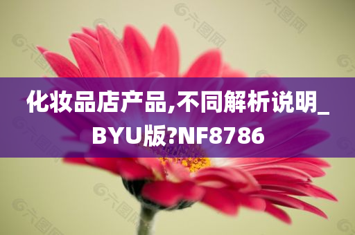 化妆品店产品,不同解析说明_BYU版?NF8786