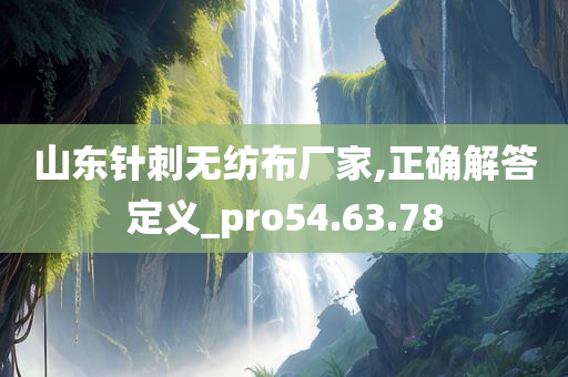 山东针刺无纺布厂家,正确解答定义_pro54.63.78