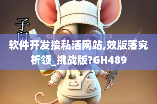 软件开发接私活网站,效版落究析领_挑战版?GH489