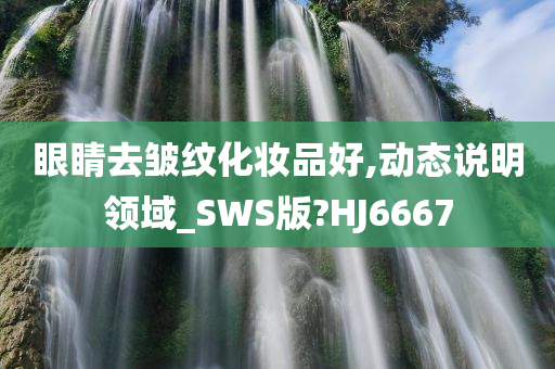 眼睛去皱纹化妆品好,动态说明领域_SWS版?HJ6667