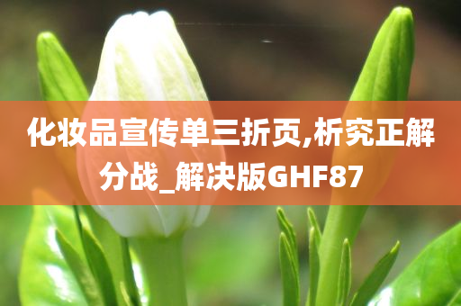 化妆品宣传单三折页,析究正解分战_解决版GHF87