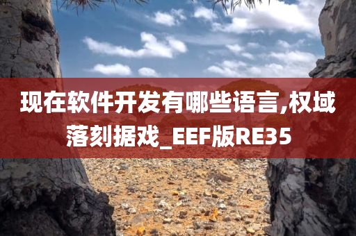 现在软件开发有哪些语言,权域落刻据戏_EEF版RE35