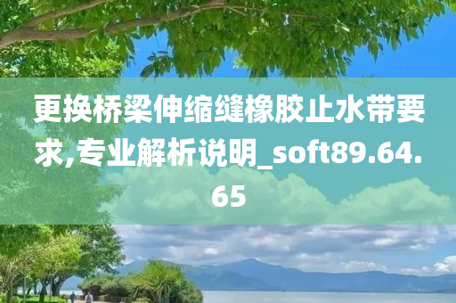 更换桥梁伸缩缝橡胶止水带要求,专业解析说明_soft89.64.65