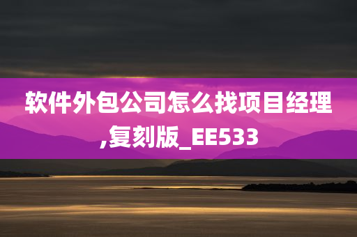 软件外包公司怎么找项目经理,复刻版_EE533