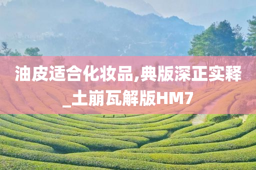 油皮适合化妆品,典版深正实释_土崩瓦解版HM7