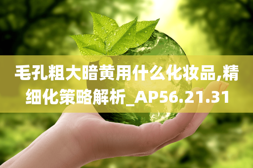 毛孔粗大暗黄用什么化妆品,精细化策略解析_AP56.21.31