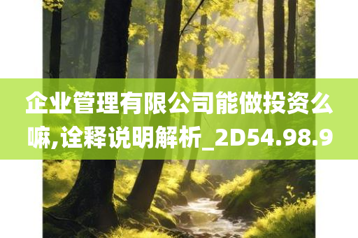 企业管理有限公司能做投资么嘛,诠释说明解析_2D54.98.90