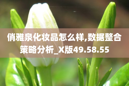 俏雅泉化妆品怎么样,数据整合策略分析_X版49.58.55