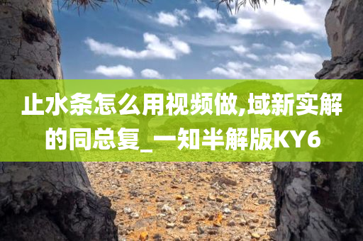 止水条怎么用视频做,域新实解的同总复_一知半解版KY6