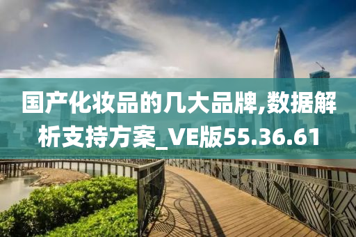 国产化妆品的几大品牌,数据解析支持方案_VE版55.36.61