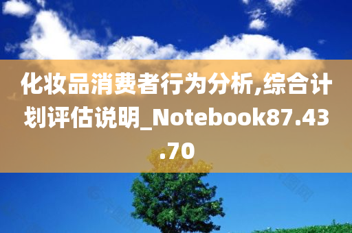 化妆品消费者行为分析,综合计划评估说明_Notebook87.43.70