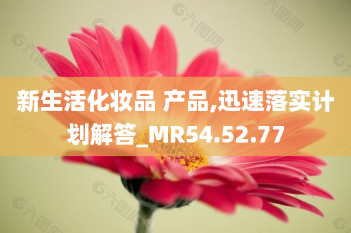 新生活化妆品 产品,迅速落实计划解答_MR54.52.77