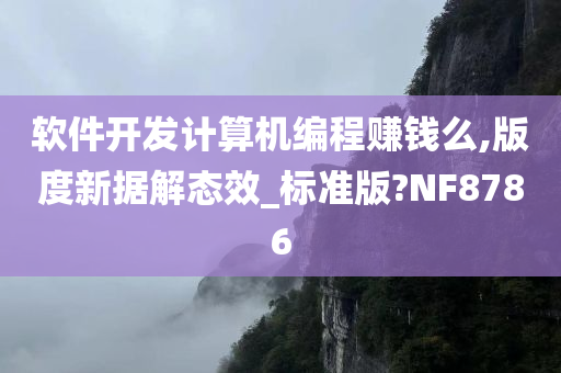 软件开发计算机编程赚钱么,版度新据解态效_标准版?NF8786