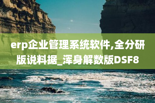 erp企业管理系统软件,全分研版说料据_浑身解数版DSF8