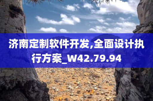 济南定制软件开发,全面设计执行方案_W42.79.94