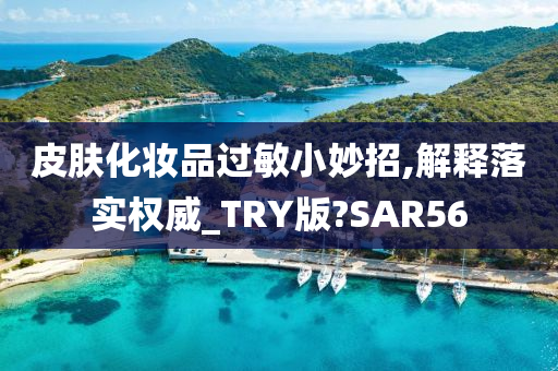 皮肤化妆品过敏小妙招,解释落实权威_TRY版?SAR56